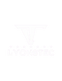 LyonsTec