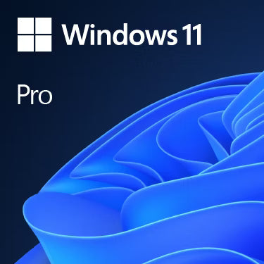 Windows 11 Pro OEM - GLOBAL